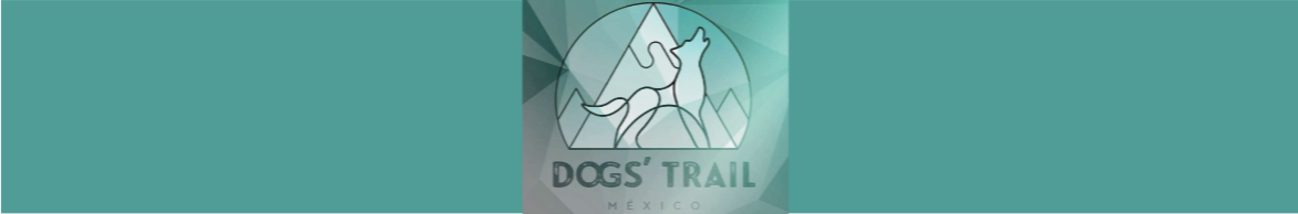 DOGSTRAIL 1er DIA